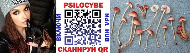 shop телеграм  ссылка на мегу ТОР  Псилоцибиновые грибы прущие грибы  Вичуга  где продают  